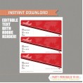 Editable Airplane Boarding Pass (Red)